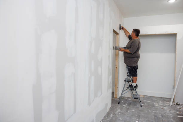 Best Water Damage & Mold Remediation  in Islandia, NY