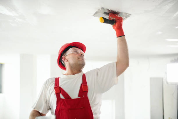 Best Dehumidification Services  in Islandia, NY