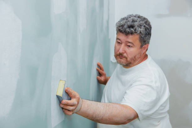 Best Commercial Mold Inspection  in Islandia, NY