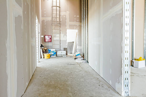 Best Mold Prevention Services  in Islandia, NY