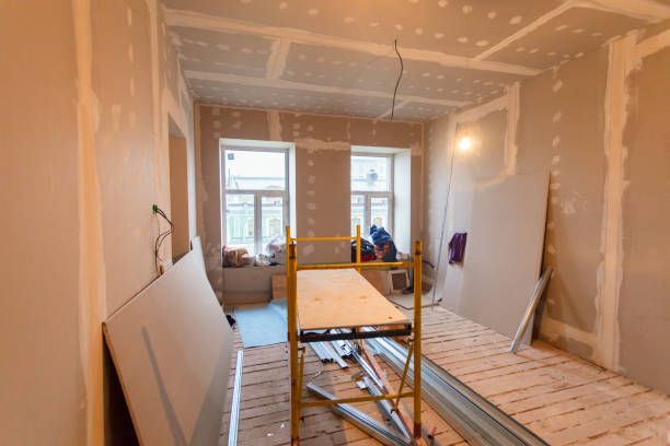 Best Mold Odor Removal Services  in Islandia, NY